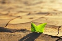 Why it is time to discuss climate change at school?
