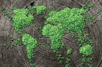 Climate change and the educational tools of the GET UP AND GOALS! Project