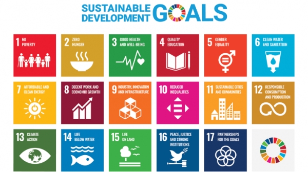 The importance of key skills for sustainable development